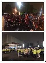 娱乐吃瓜君视频看热闹,揭秘娱乐圈幕后热点，带你领略明星们的“热闹”生活